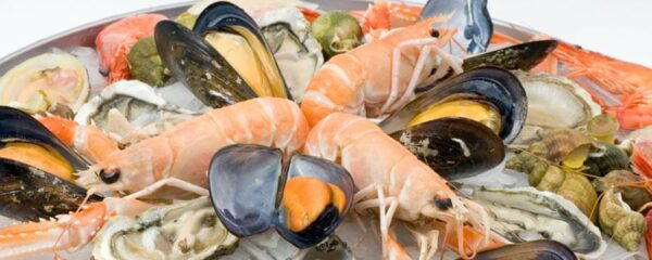 plateau de fruits de mer