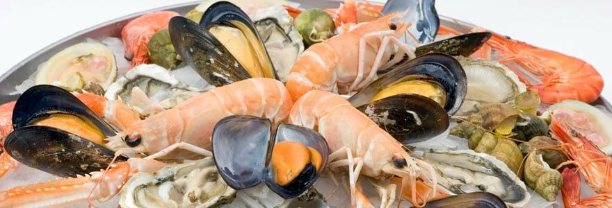 plateau de fruits de mer